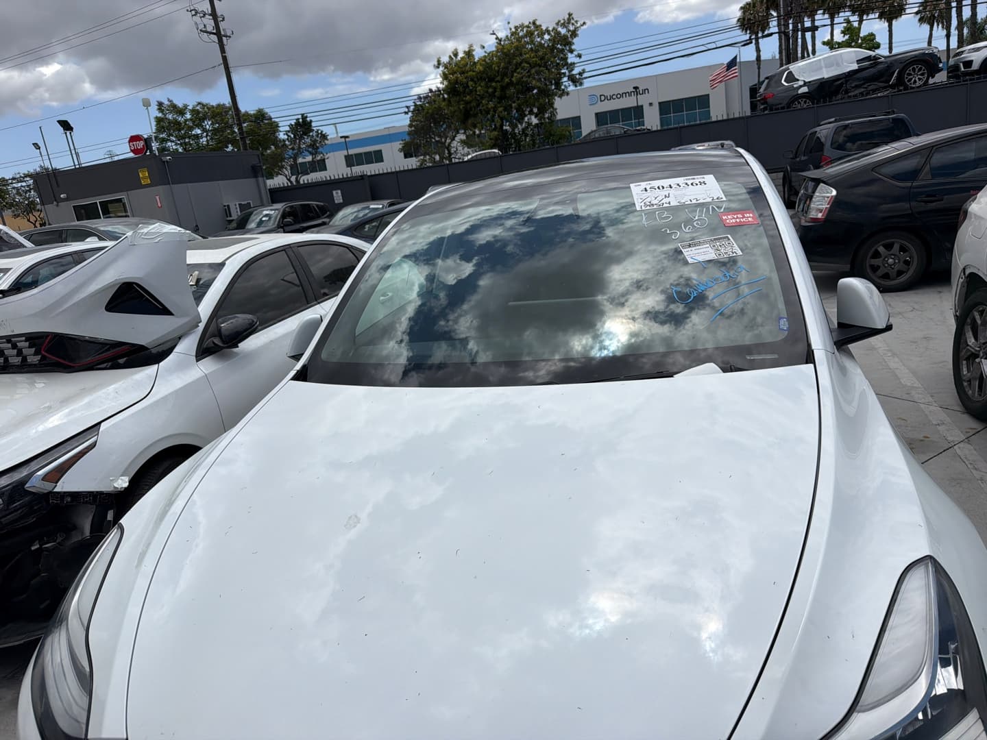 Tesla Model Y - 1